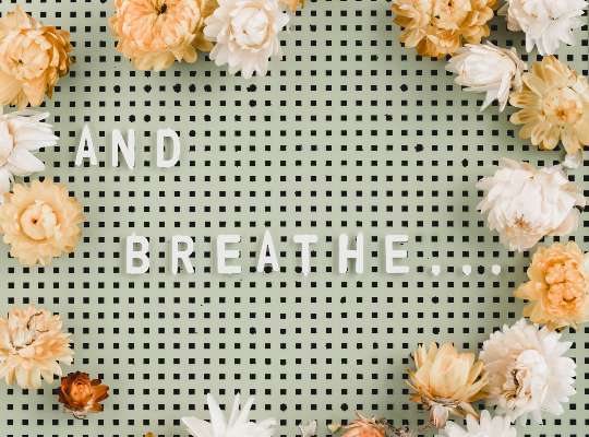 Flowers on a noticeboard