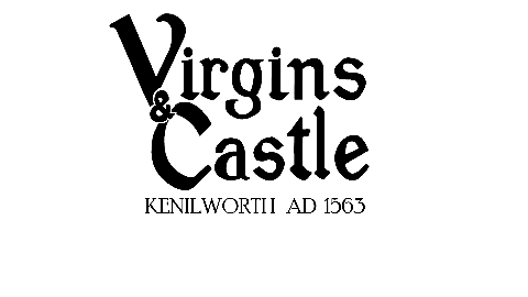 Virgins castle logo