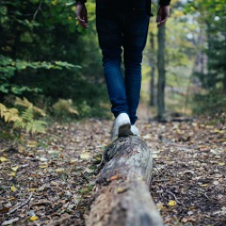 person walking along branch on the floor in a forest